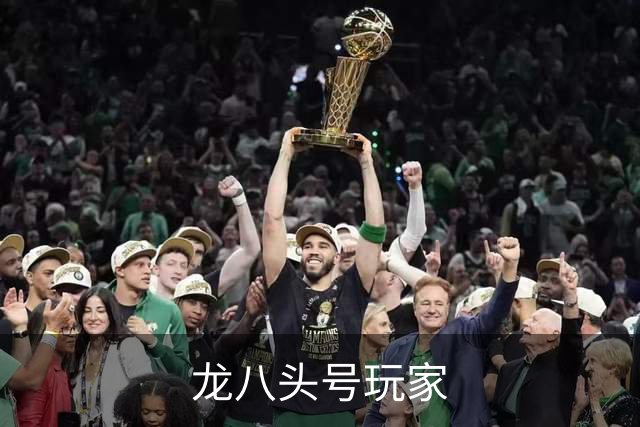 龙八头号玩家公司介绍展示图